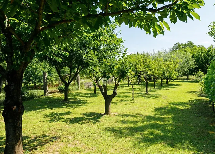 Lupo By Interhome Holiday home